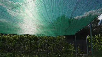 Finding the Perfect Shade: A Guide to Selecting the Right Shade Nets